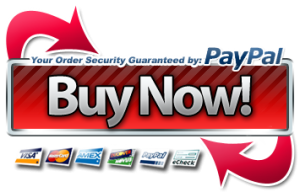 Paypal-Buy-Now-button